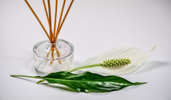 Beauty Therapy Workshop January 26th 5-7pm - Green Clean Home - Image 2